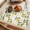 thumbnail image 3 of Lemon Flowers Placemats Set of 12 Country Floral Summer Lemon Fruit Place Mats Indoor Wipeable Table Mats Washable Cloth Dining Table Placemats for Kitchen Holiday Party Home Decor 13x19 Inch, 3 of 9