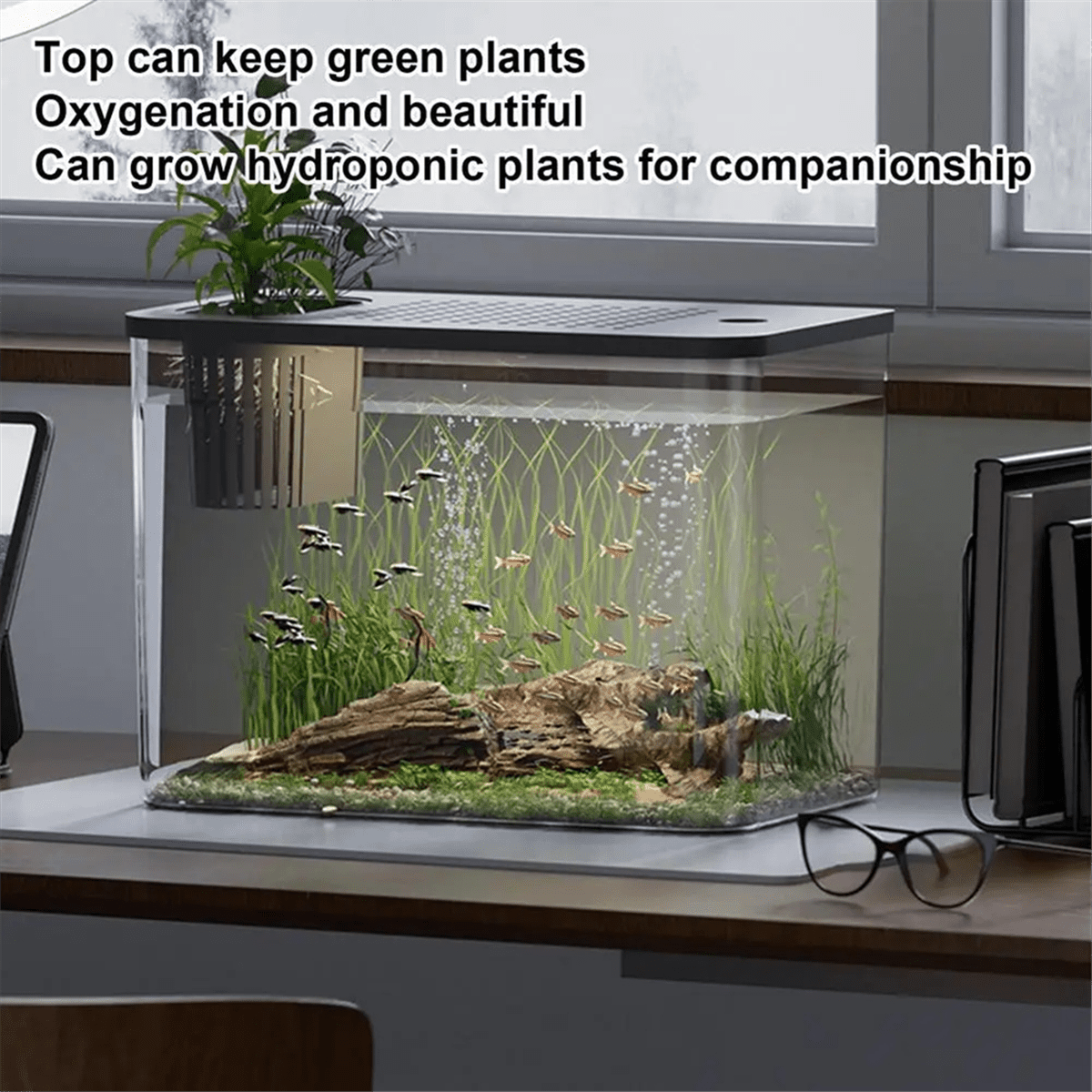 Fish Tank Aquarium Transparent Desktop Tank Turtle Aquarium Small Aquariums Decorative Fish Container for Fish White