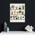 thumbnail image 4 of JRXY Plant Pictures Wall Art Succulent Art Wall Decor Plant Prints | Cactus Botanical Wall Art Poster 16x20, 4 of 4