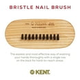 thumbnail image 3 of Kent NB2 Natural Bristle Fingernail Brush and Scrub Brush for Nails. Beechwood Finger Nail Brush to Clean Nails and Nail Scrubber Brush for Hands, Feet, Fingernails, and Toenails. Made in England, 3 of 12