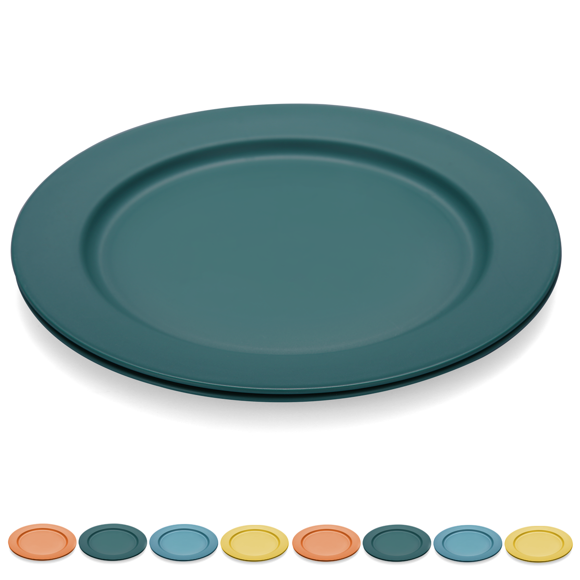 Plastic Plates Reusable