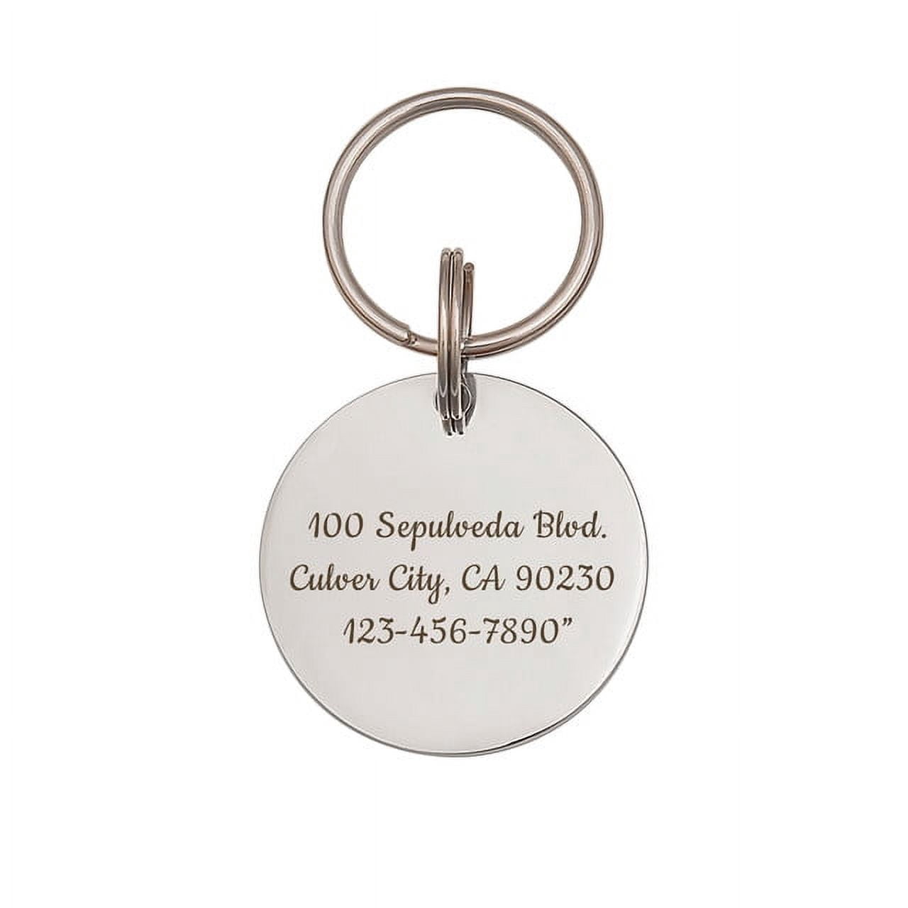 Anavia Stainless Steel Double Sided Round Name - ECG Engraved Dog & Cat ID Tag, Silver, L