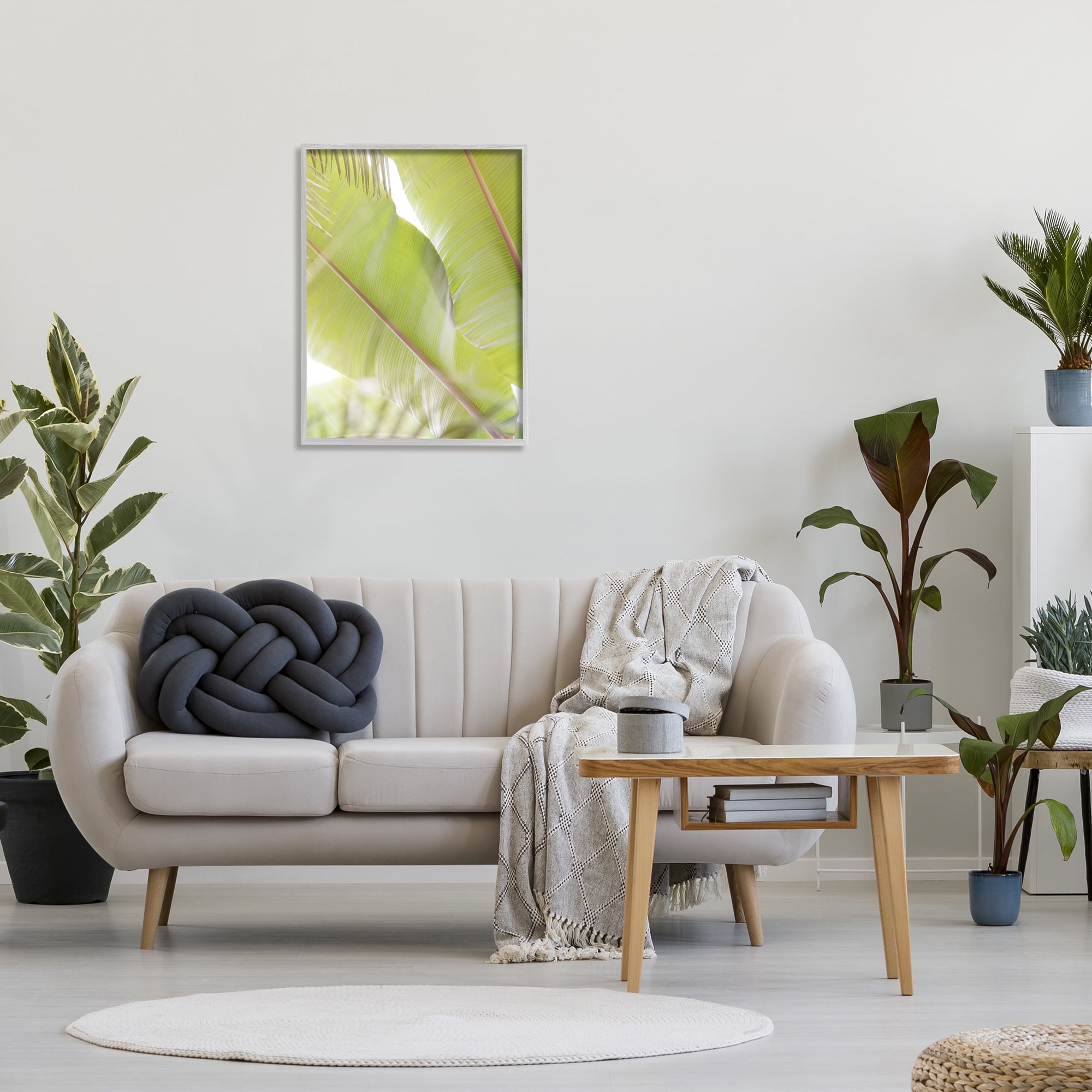 Stupell Tropical Palm Modern View Botanical & Floral Photography Gray Framed Art Print Wall Art