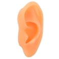 thumbnail image 2 of Ear Model, Lifelike Soft Flexible Waterproof Simulated Ear Mould  For Hospital Left,Right, 2 of 8