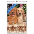 thumbnail image 3 of Keith Kimberlin - Puppies - Labs Wall Poster with Wooden Magnetic Frame, 22.375" x 34", 3 of 3