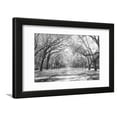 thumbnail image 1 of Live Oaks and Spanish Moss Wormsloe State Historic Site Savannah GA Framed Print Wall Art Sold by Art.Com, 1 of 4