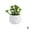 E, variant on Artificial Potted Plant Succulent W/ Pot Small Faux Fake Cacti In/Outdoor Decor U7G6
