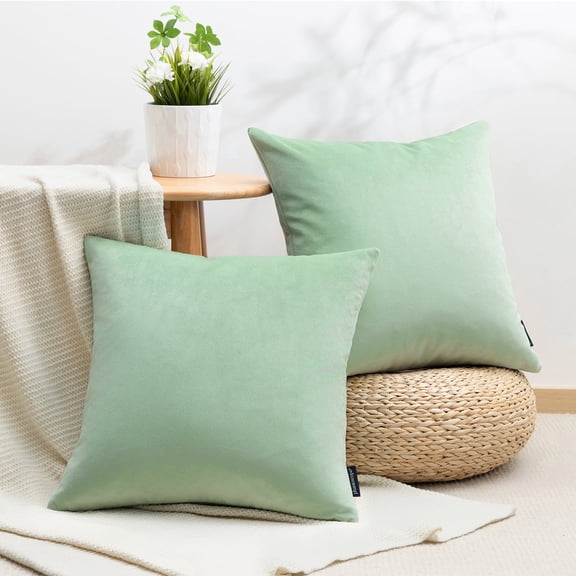 Phantoscope 18 x 18 in Sage Green Silky Velvet Decorative Pillow Covers, 2 Pack