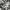 Camo Green, variant on Arctic Zone Lunch Box Combo with Ice Pack, Water Bottle, and Sandwich Container, Tesseract Gray/Red