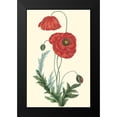 thumbnail image 2 of Turpin 17x24 Black Modern Framed Museum Art Print Titled - Crimson Beauty IV, 2 of 5
