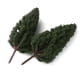 thumbnail image 3 of 40 Piezas Mini Modelos De Árbol en apariencia Torre Para Modelismo Layout, 3 of 9