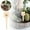 F, variante sur TIELUTT Jardin DIY Suspensions en Bois pour Pots de Fleurs Ornement d'Identification Fait Main Chapeau en Verre Ornement de Noël Transparent pour Artisanat en Vrac Petite Poule Ornement Guirlande pour Décoration
