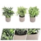thumbnail image 5 of KAKOWELY 3 piezas de plantas verdes artificiales, pequeñas plantas verdes en macetas, adornos de bonsái., 5 of 5