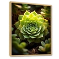 thumbnail image 2 of Designart "Verdant Succulent Flourish" Succulent Floater Framed Wall Art Prints, 2 of 5