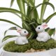 thumbnail image 5 of Juego de 10 decoraciones de macetas en forma de conejo en miniatura. Afortunado Sencillez, 5 of 5