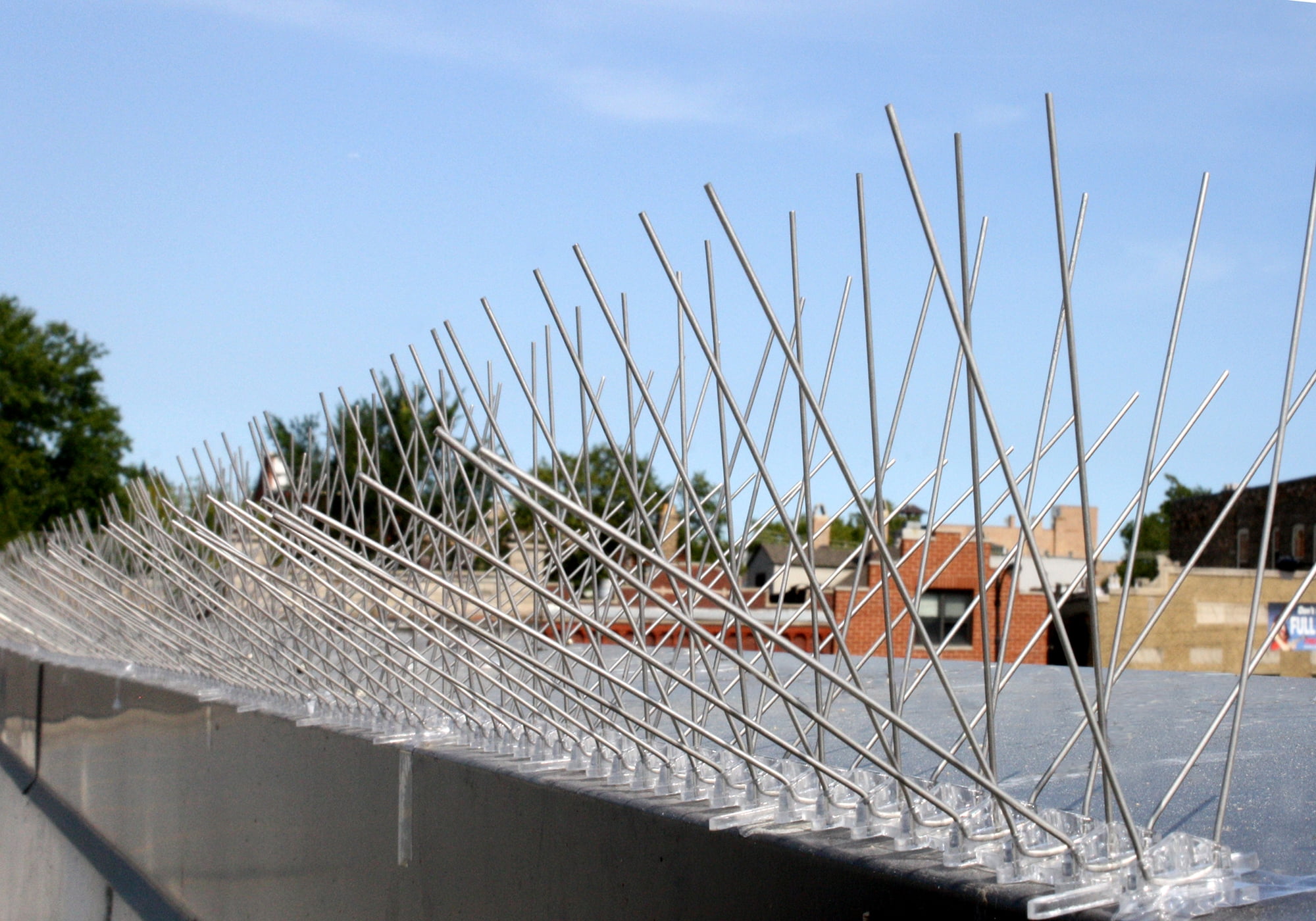 BIRD-X INC Stainless Steel Bird and Pest Repellent Spikes, 10 ft