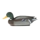 thumbnail image 1 of Señuelo de pato de caza Señuelo de ánade real Paisaje 3D Simulación realista Pato de caza Verde, 1 of 9