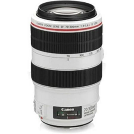 Image of Canon EF 4426B002 70 mm to 300 mmf/5.6 Telephoto Zoom Lens for Canon EF/EF-S