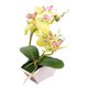 thumbnail image 1 of Flor de seda artificial de doble punta phalaenopsis maceta falsa decoración de paisaje planta artificial planta verde en maceta, 1 of 5