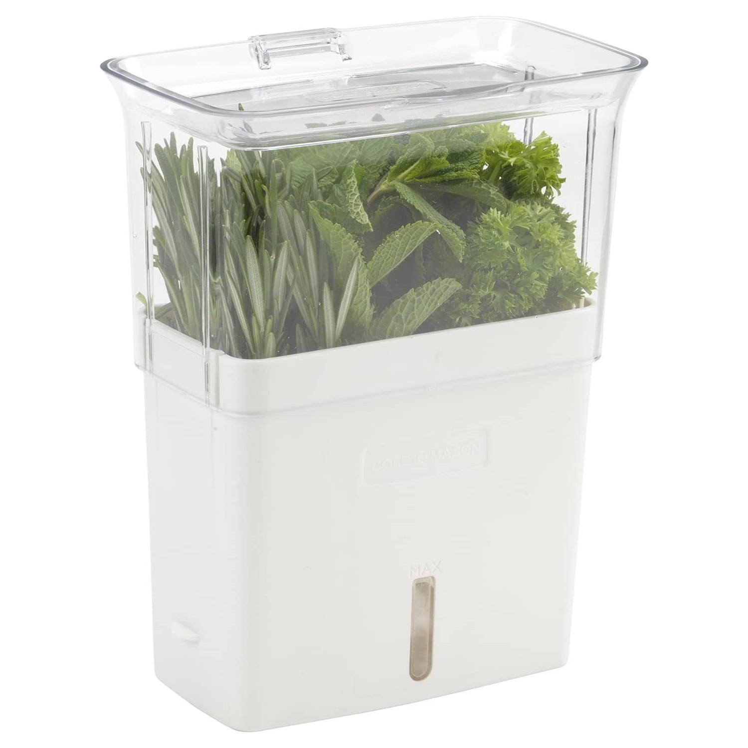 Cole & Mason Herb Saver Container with Dividers | Clear Acrylic Pod for Fridge | Keeps Herbs Fresh Longer