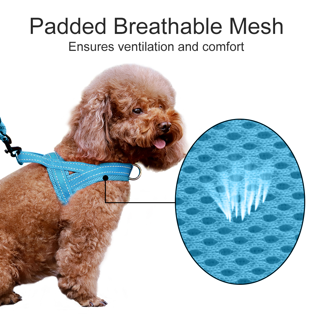 Plutus Pet No Pull Dog Harness XS Cyan photo 3