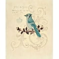 thumbnail image 2 of Barrett, Chad 20x24 White Modern Wood Framed Museum Art Print Titled - Filigree Jay, 2 of 4