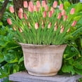 thumbnail image 4 of 6 Bundles Pink Tulips Artificial Flowers 30 Heads Faux Tulips Fake Flowers for Mother's Day Faux Flowers Bulk for Vase Centerpieces Home Wedding Bouquet Table Center Decor,5 Flowers Heads/Bundles, 4 of 6