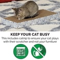 thumbnail image 4 of FurHaven Pet Products Holiday Celebration Corrugated Flat Scratcher for Cats - Hannukah Print, 4 of 9