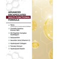thumbnail image 3 of boscia Crema hidratante de semillas de chía - Cuidado de la piel natural vegano sin crueldad - Loción facial para piel sensible con vitamina A de saúco, vitamina B6, vitamina C y vitamina E - Para tip, 3 of 5