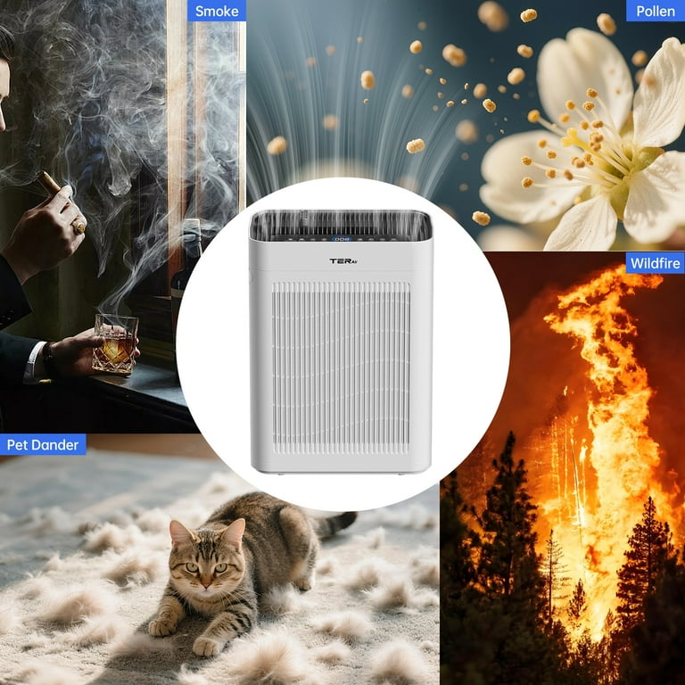 Purificateur Pour Animaux, Espace 325 M², Filtre H13 Violet