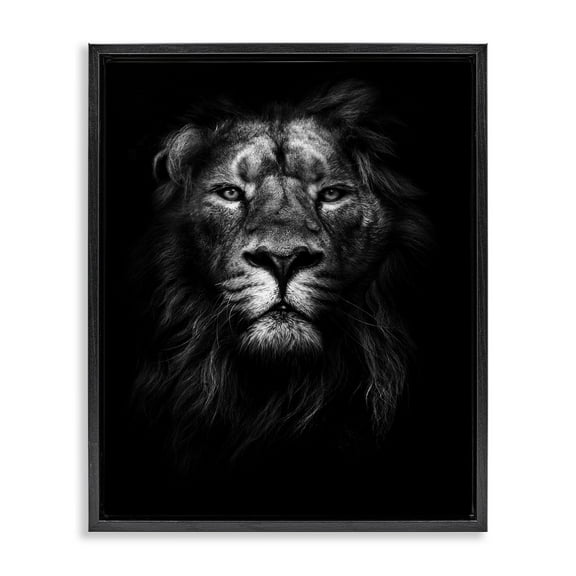 Stupell Industries King of the Jungle Lion In Shadows Black and White Photography Jet Black Framed Floating Canvas Wall Art, 16x20, by Design Fabrikken