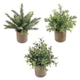 thumbnail image 1 of Mini ceramic flowerpot simulation plant 3-piece indoor simulation plant, 1 of 5