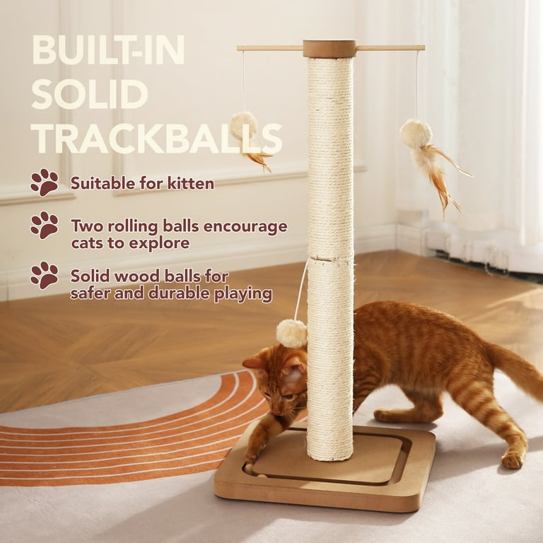 Cat Scratching Post mit hängendem Ball Cat Food Treat Toy für Indoor-Katzen und