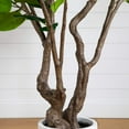 thumbnail image 5 of Nearly Natural Audrey Ficus Leaf Artificial Potted Tree - 6', 5 of 9