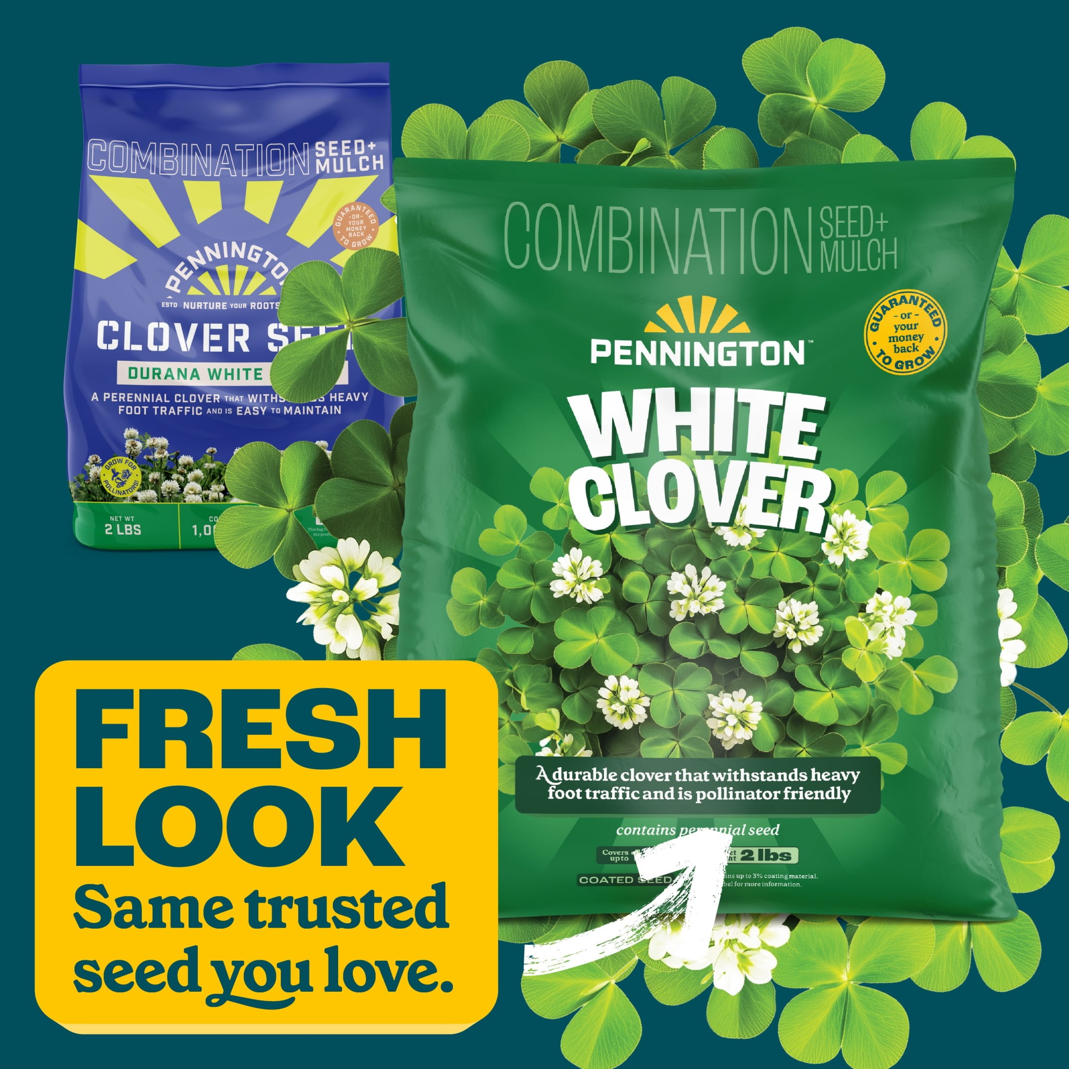 Pennington  White Clover Seed, 2lb