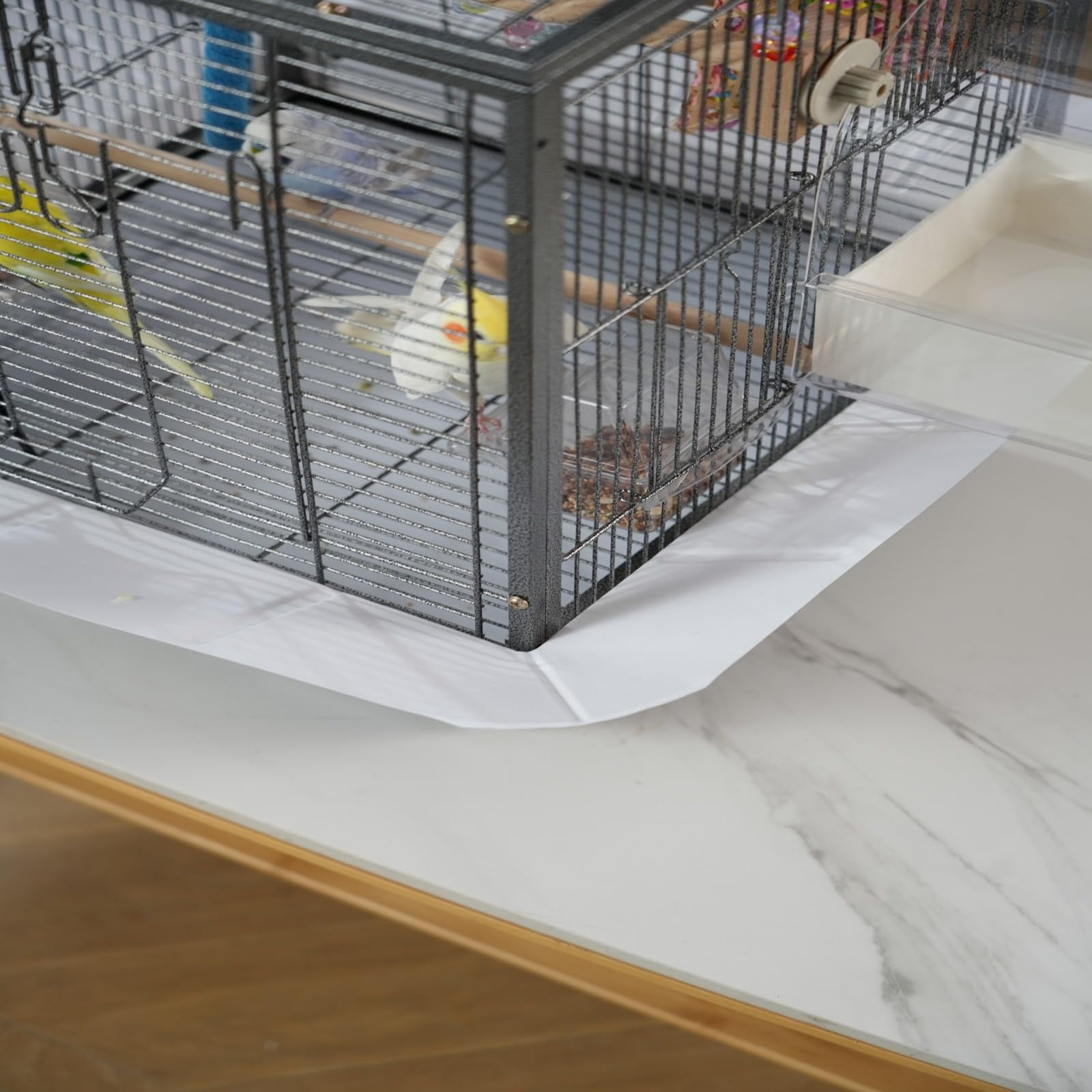 Small Bird Cage, 45 x 45 x 60 cm Travel Carrier Cage with Pull-Out Tray and 2 Perches, Metal Portable Bird Carrier with Handle, for Parrot, Budgie, Parakeet, Small Medium Birds