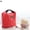Red, variant on SPRING PARK Insulated Lunch Bag Portable Thermal Cooler Lunch Box Carry Tote Storage Picnic