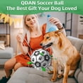 thumbnail image 2 of Pelota de fútbol para perros QDAN, juguete para perros pequeños y medianos, 15 cm, 2 of 5