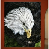 Wallhogs Batie Bald Eagle Wall Mural