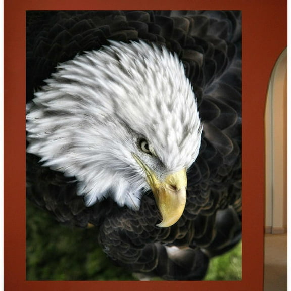 Wallhogs Batie Bald Eagle Wall Mural