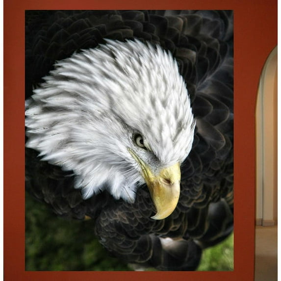 Wallhogs Batie Bald Eagle Wall Mural