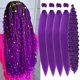 thumbnail image 1 of Cabello trenzado Leticia, morado, preestirado, 66 cm, 1 of 8