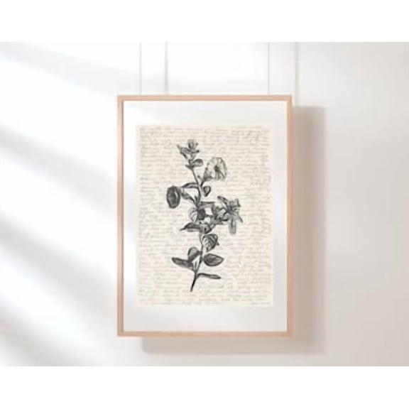 Petunia Wall Art Flower Poster Art Floral Wall Art Wildflower Poster Petunia Poster Flower Poster Botanical Art Sketch , Poster Print Only