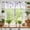 Purple Watercolor Leaves, variant on 54x18Inch Spring Wildflowers Window Treatment Valance Watercolor Floral Butterfly Plants Leaves Short Topper Curtains Kitchen Bedroom Living Room Farmhouse Rod Pocket Drapes Panels