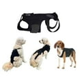 thumbnail image 2 of Adjustable Dog Back Bracer Support and Comfort for Your Furry Friend, 2 of 15