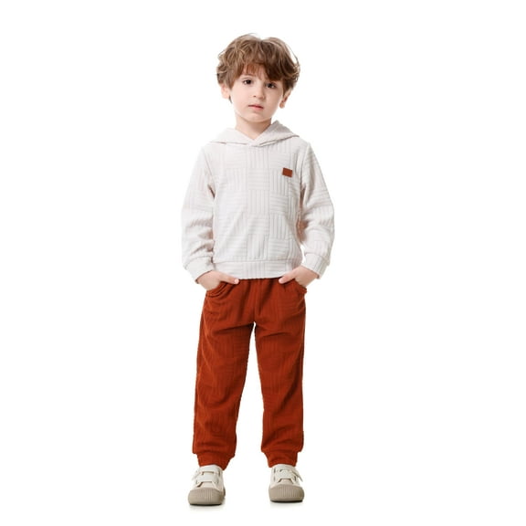 Toddler Baby Boy Clothes Long Sleeve Hoodie Sweatshirt   Pants Outfits 2PCS Fall Winter Sweatsuit Set 1-5T