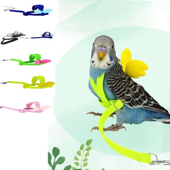 Pet Bird Harness and Leash, Adjustable Flying Harness with Cute Wings for Parrots, Pigeons, Budgie, Lovebird, Small Birds, Outdoor Walking Training Toy, XS Size, Cotton, Multicolor