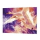 thumbnail image 1 of de Pintura Por Números para Adultos, Incluye Pinceles, Y Numerado, Sin Marco, 16 X 20 Pulgadas, Decoración de de BLESIY  Pintura de bricolaje por el kit de números, 1 of 8