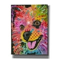 thumbnail image 1 of Epic Graffiti 'Pom Pom 2' by Dean Russo, Canvas Wall Art, 40"x54", 1 of 8