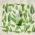 thumbnail image 3 of MIGUHARA Green Tea Calming Essence Toner Origin 200ml/6.76oz, 3 of 4